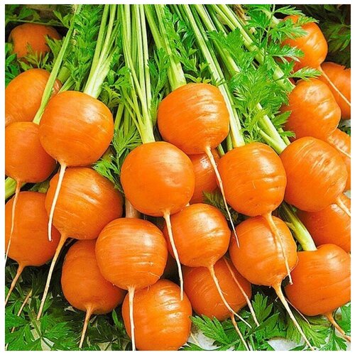 ���� ������ ������ ������� ��������� ����� 50 ��. ������ ������