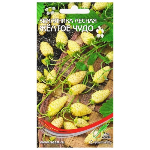 ���� ��������� ������ ������ ����, 75 ����� ������ ������