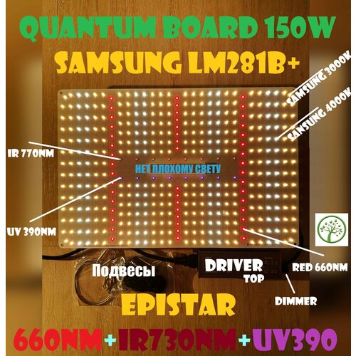      150   Quantum board ( ) SL1000pro,   LM281B+      