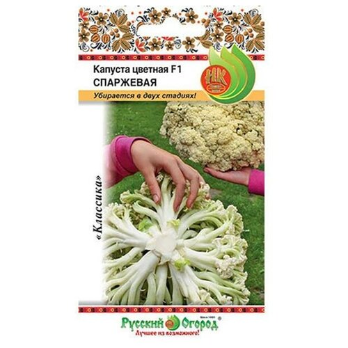 ���� ������. ������� ������� F1 