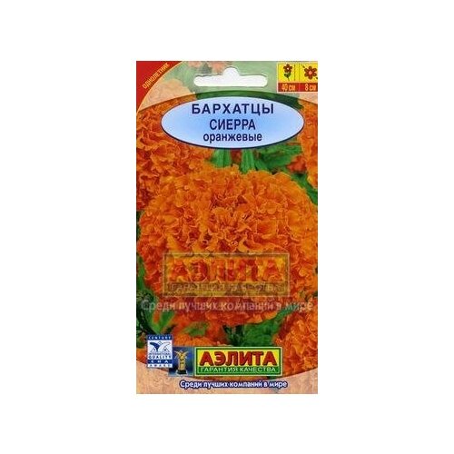 ���� ������. �������� 