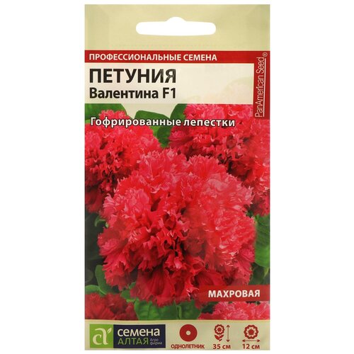 ���� ������ ������ ������� 