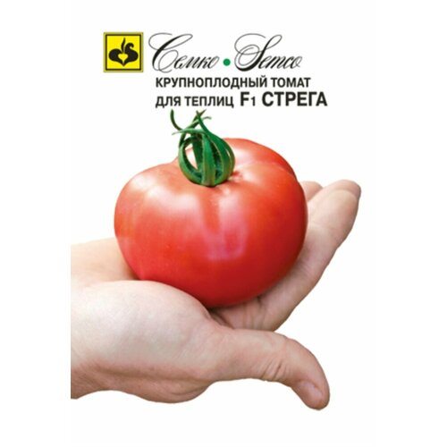 ���� ������ ����� ������ F1 5�� ����� ������ (�����) ������ ������