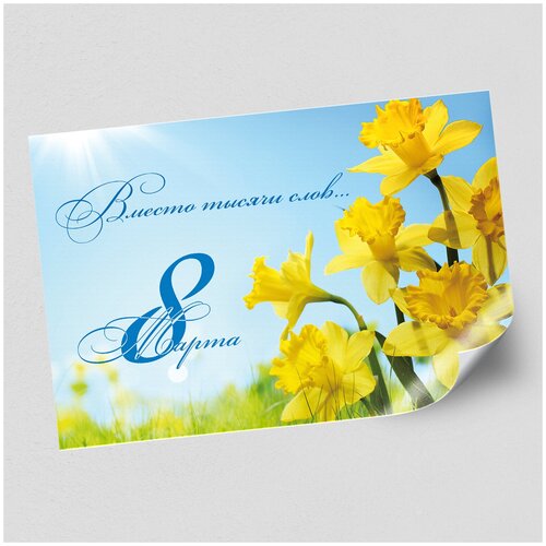 ���� ����������/������ �������������� �� 8 ����� / �-3 (42x30 ��.) ������ ������