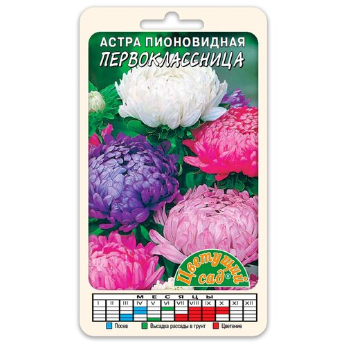 ���� ������ �������� ��� 