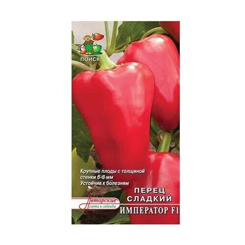 ���� ����� ����� ��������� F1 ����� 12 �� ������ ������