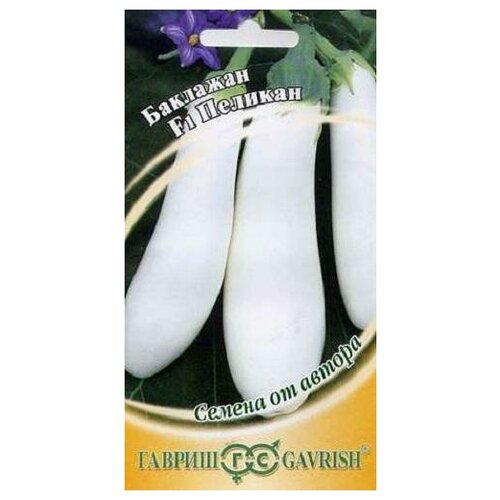 ���� ������. �������� 