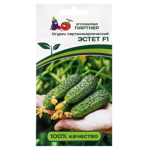 ���� ������ ��������� ������� ������ ����� F1 5 ��. ������ ������