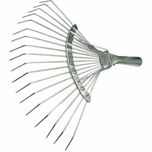 ���� ������ ������� 20-��� ��� ������� ������ ������