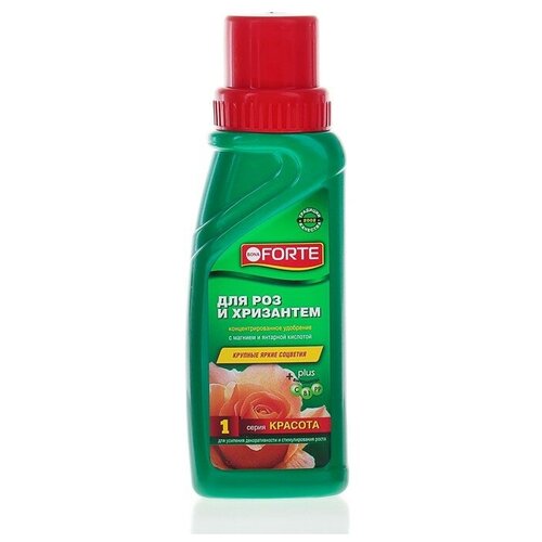 ���� ��������� ��� ��� ���� ������ � ��������� Bona Forte, ������, 285 �� ������ ������