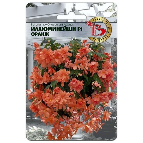 ���� ������ ������� ��������� ��������� 