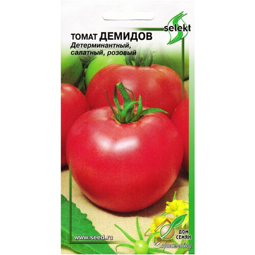 ���� ����� �������, 25 ����� ������ ������