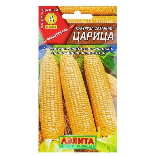 ���� ������ �������� �������� 