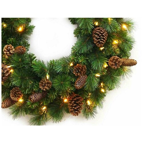 ���� ������� ����� 