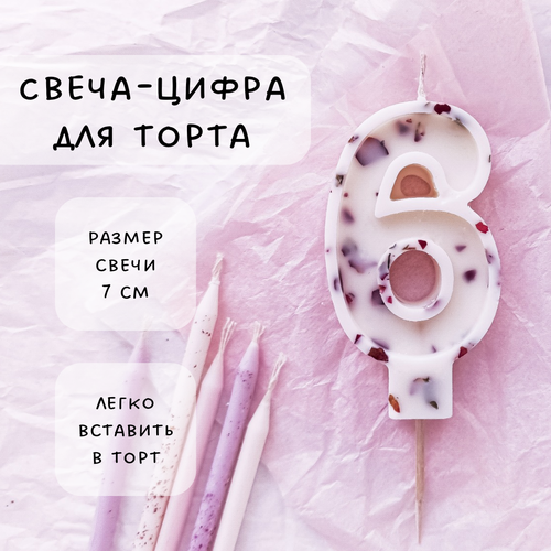 ���� ����� ��� ����� ����� 6, ������ ������, 1�� ������ ������