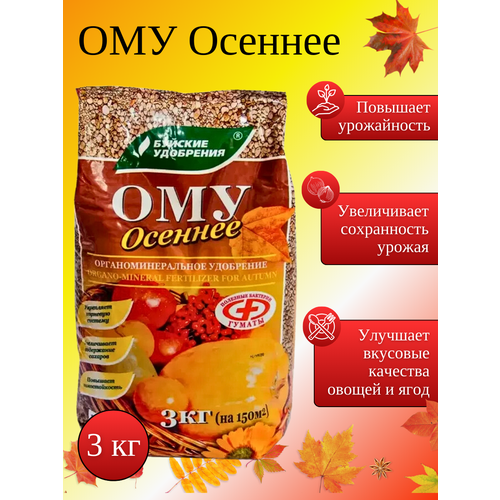 ���� ��� 