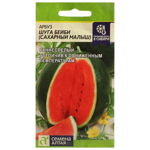 ���� ������ ����� 