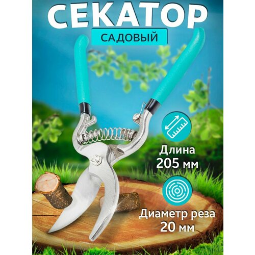 ���� �������� ��� ������� ������ ������