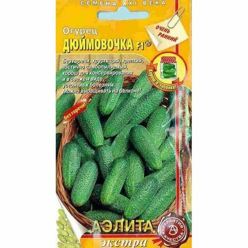 ���� ������ ������ ���������� F1 ��, �����������, (������) 10�� ������ ������