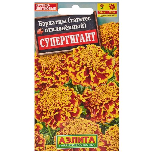 ���� ������. �������� 