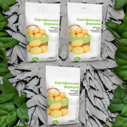 ���� ������������ �������, ��������� ��� ��������� 5�� / 3�� ������ ������