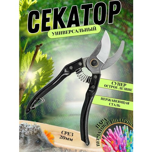 ���� ������� ������� ������ ������