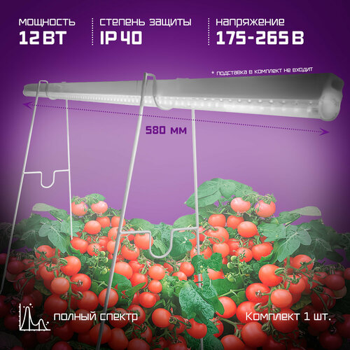 ���� ��������� ������� ������� �������, 12 W ����� 60 �� ������ ������