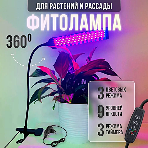 ���� ��������� ������������� ��� �������� � �������, ���������������� ����� �� �������� ��� �������� ����, ����, 1 ����� ������ ������