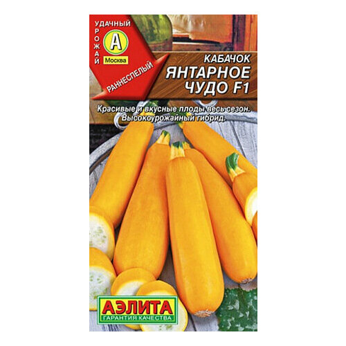 ���� ������ ������� �������� ���� F1 ������� 5�� ������ ������ (������) ������ ������