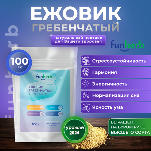 ���� ������ ����������� ������� ������� ������ ������