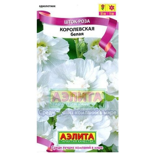 ���� ������. ����-���� 