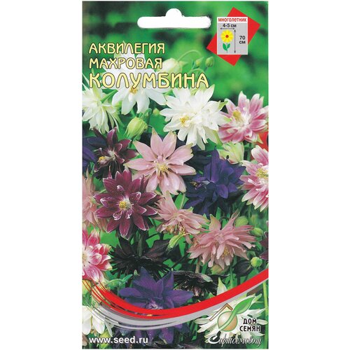 ���� ��������� ����������� �������� ���������, 35 ����� ������ ������