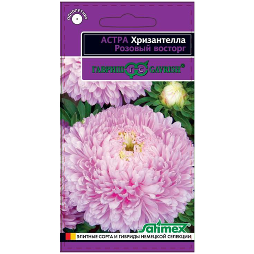 ���� ������. ����� ����������� 