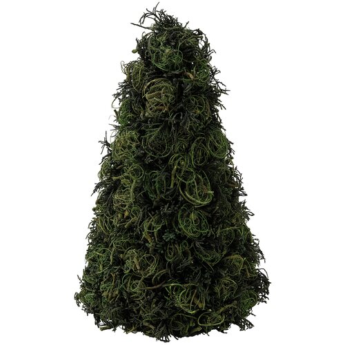 ���� ������� ���� ������ 2021 90504223, 30 ��, ������� ������ ������