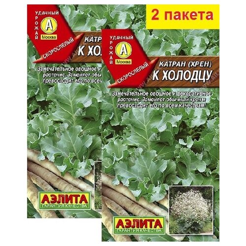 ���� ������ (����) � ������� (0,3 �), 2 ������ ������ ������