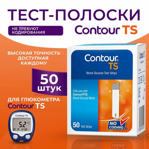  -   (Contour TS)  , 50 ,    1  2025    -     , -, 