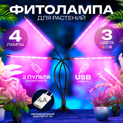      (4  10W),        (    USB)   -     , -, 