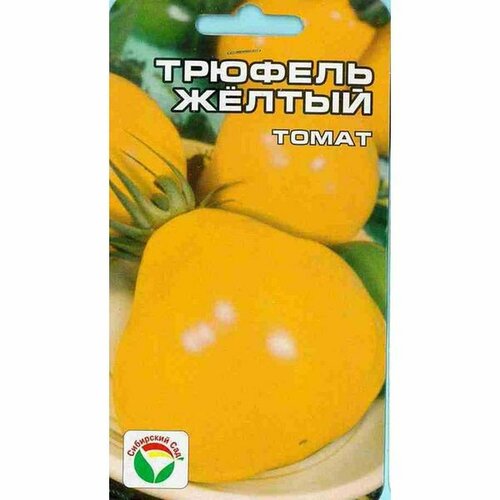 ���� ������ ����� ������� ������, ������������, ������������, (��������� ���) 20�� ������ ������