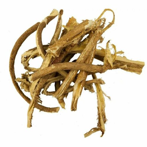 ���� �������� ������������, ������, �����, ���������, 25 � ������ ������