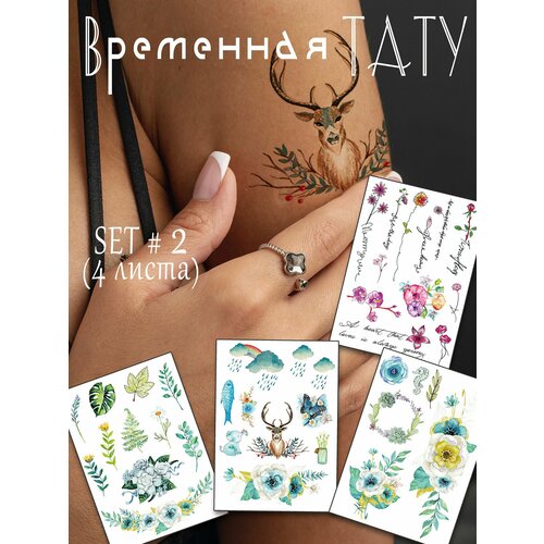 ���� ��������� ���������� ���� (�� �������) ����� - 4 ����� � ���������. ������ 210�150�� ������ ������