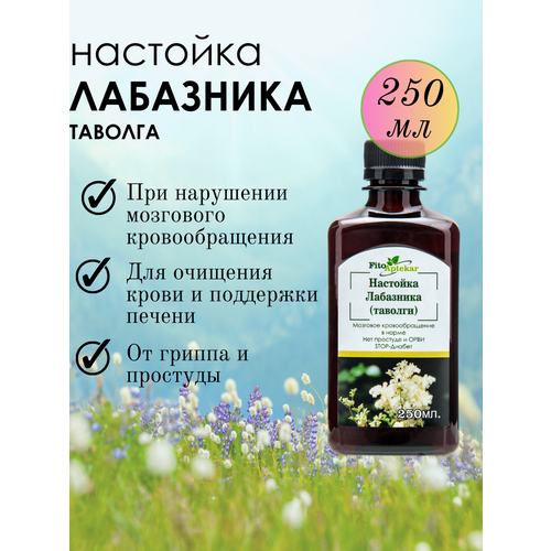 ���� �������� ���������, 250�� ������ ������