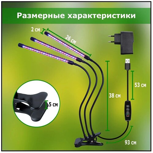 ���� ��������� ��� �������� 3 ������ ��������, 3 ������������ ����������� ��� ��������, �������������� �� ��������, ���� ����� ��� ������� ������ ������