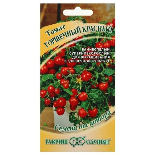 ���� ������ ����� 