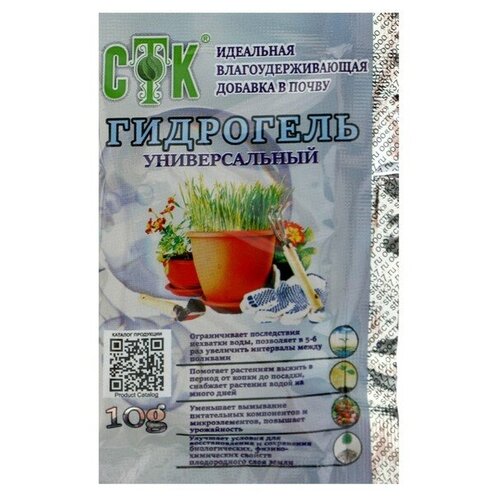 ���� ���������, ��� 10 � ������ ������