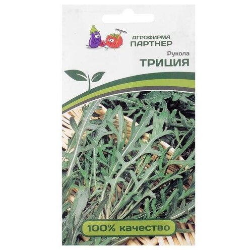 ���� ������ ������ 