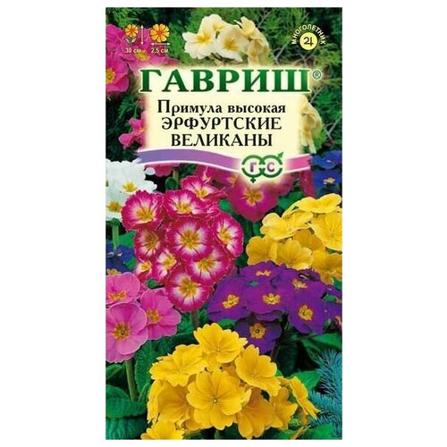 ���� ������. ������� 