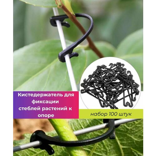 ���� ������-�������� ��� ���� ����� 100 ��, �������������� ��� �������� ������� �������� � �����, ������ ��� ��������� ���������, ������ ��� ������� ������ ������ ������