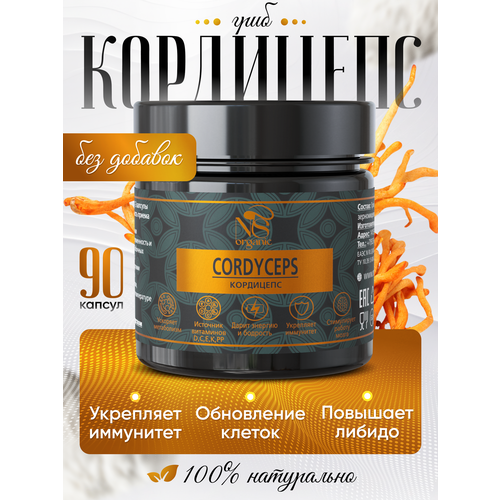 ���� ��������� � �������� �� 500 ��, ��������� 90 ��. ������ ������