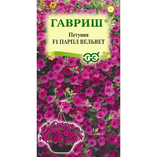 ���� ������ ������� ����� ������� �������� ��������� 4�� ��� 100�� (������) ������ ������