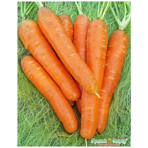 ���� ������. ������� �� (���: 2 �) ������ ������